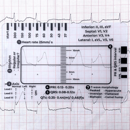 (🔥HOT SALE NOW 60% OFF) -ECG 7 Step Ruler