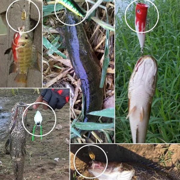 🎣🎄 Christmas Fishing Lures Advent Calendar – Limited Release!