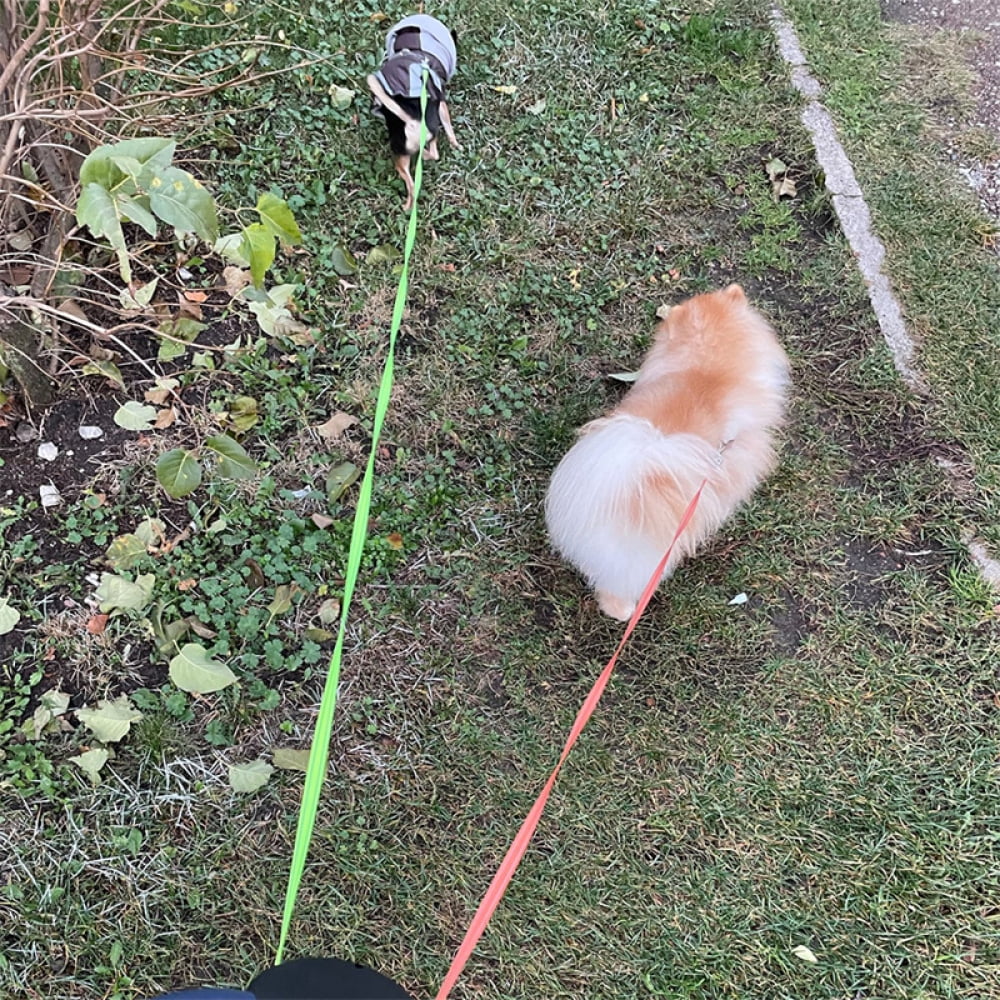 Dual Dog Retractable Leash – 360° Tangle-Free with Separate Controls