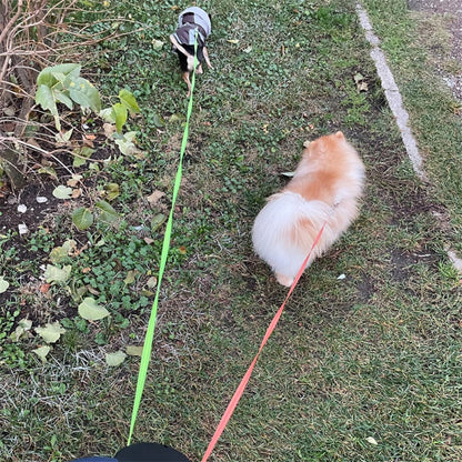 Dual Dog Retractable Leash – 360° Tangle-Free with Separate Controls