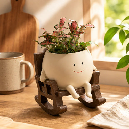 Smily Face Planter Pot