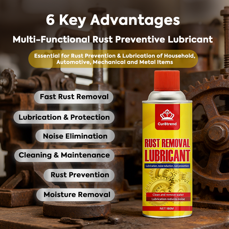 Anti-Rust Lubricant Spray & Rust Remover