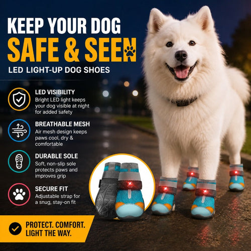 LED Light-Up Dog Boots