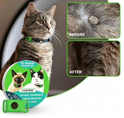 🐕12 Months Flea and Tick Free⏰