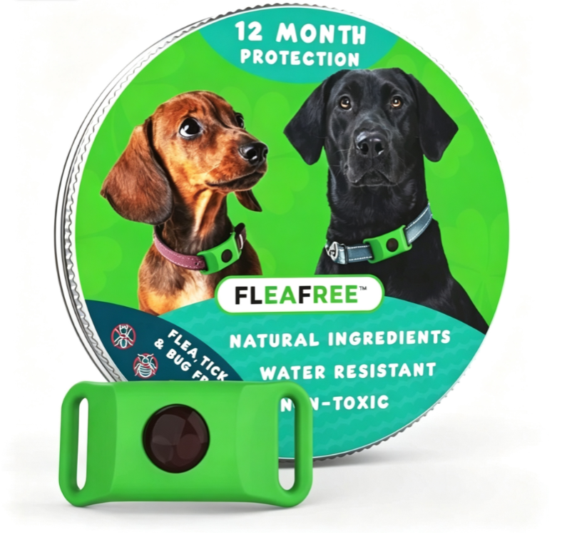🐕12 Months Flea and Tick Free⏰