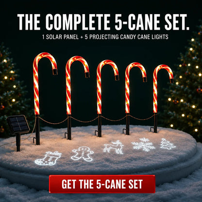 🔥Buy 2 Get 20% OFF🔥🎄Solar Candy Cane Projector Pathway Lights – Light the Way to Christmas