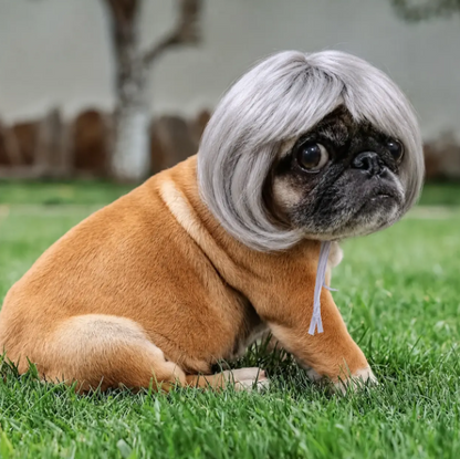 🐶Funny Pet Wig Hair Accessories for Dogs & Cats