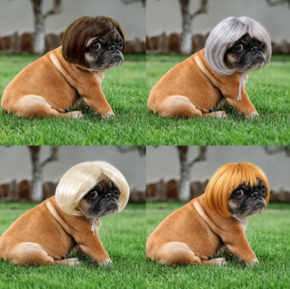 🐶Funny Pet Wig Hair Accessories for Dogs & Cats