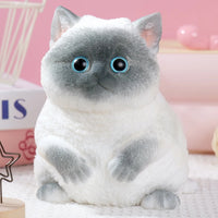 Siamese Cat