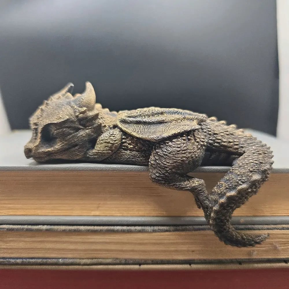 Peaceful Bookshelf Dragon