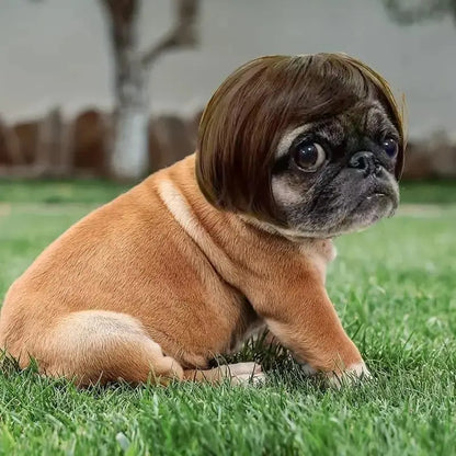 🐶Funny Pet Wig Hair Accessories for Dogs & Cats