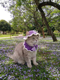 Kitten Grape