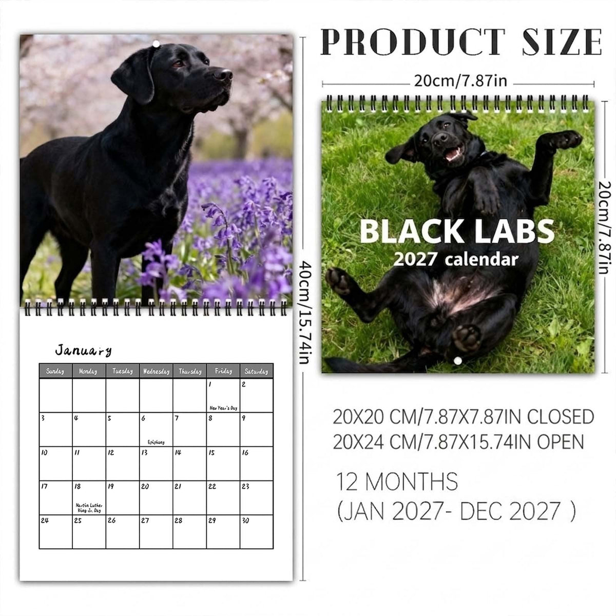 🐕‍🦺2027 Cute Black Labs Calendar