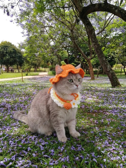 Handmade Crochet Pet Hat - Make Every Moment With Them More Adorable