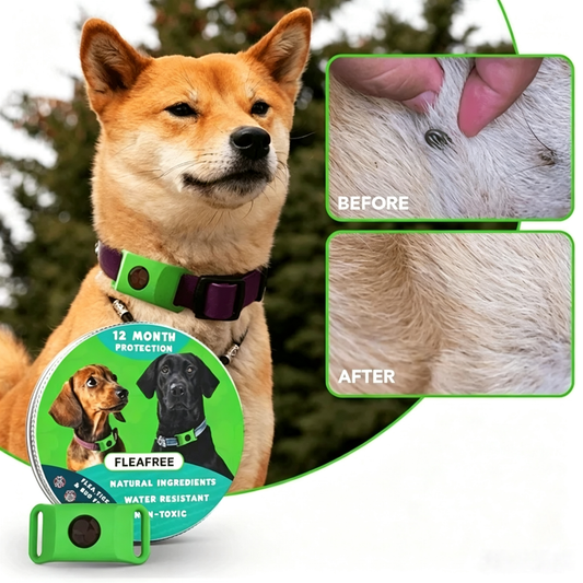🐕12 Months Flea and Tick Free⏰