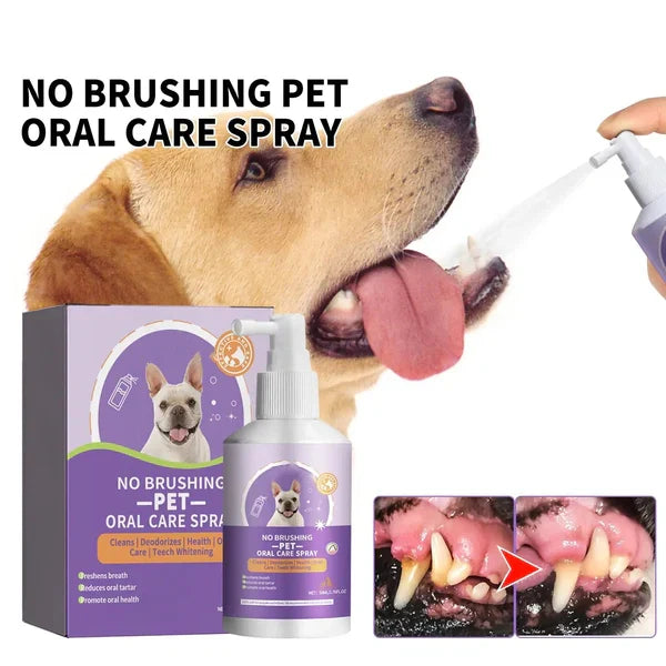 🍃No-Brushing Oral Care Spray for Dogs & Cats