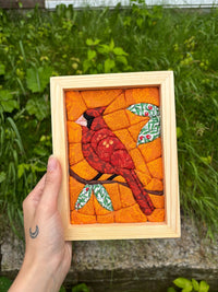 Northern Cardinal
