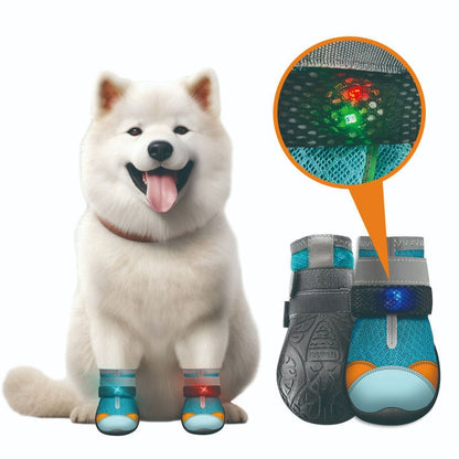 LED Light-Up Dog Boots