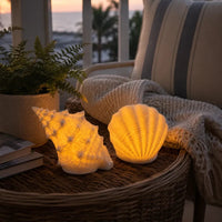 Conch