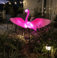 Spread the wings