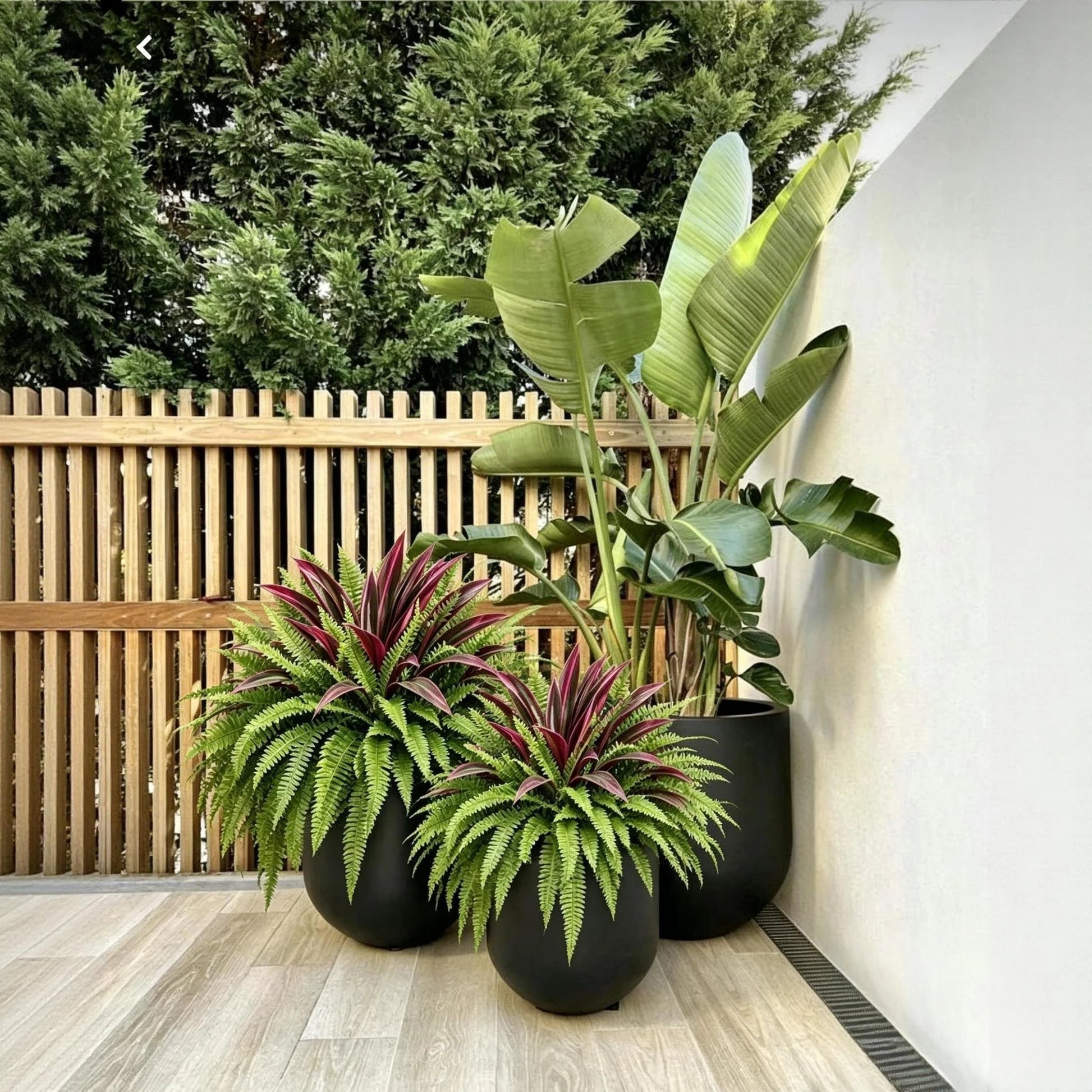 💥Summer Special🔥 UV-Resistant Artificial Fern & Red Dracaena Decorative Plants – Full, Lush & Fade-Resistant!