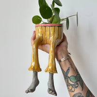 Pencil guy