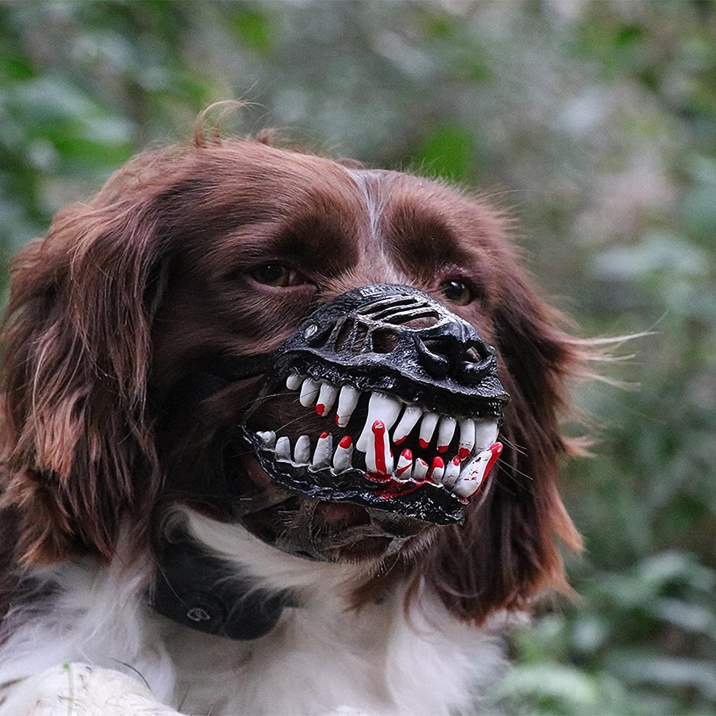 Scary Dog Muzzle Halloween Accessory - Lightweight Latex Animal Costume Mask with Lifelike Teeth