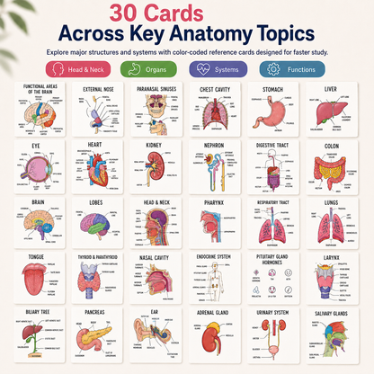 Human Anatomy Flashcards – 30-Piece Visual Study Guide for Medical, Nursing & Anatomy Exam Prep