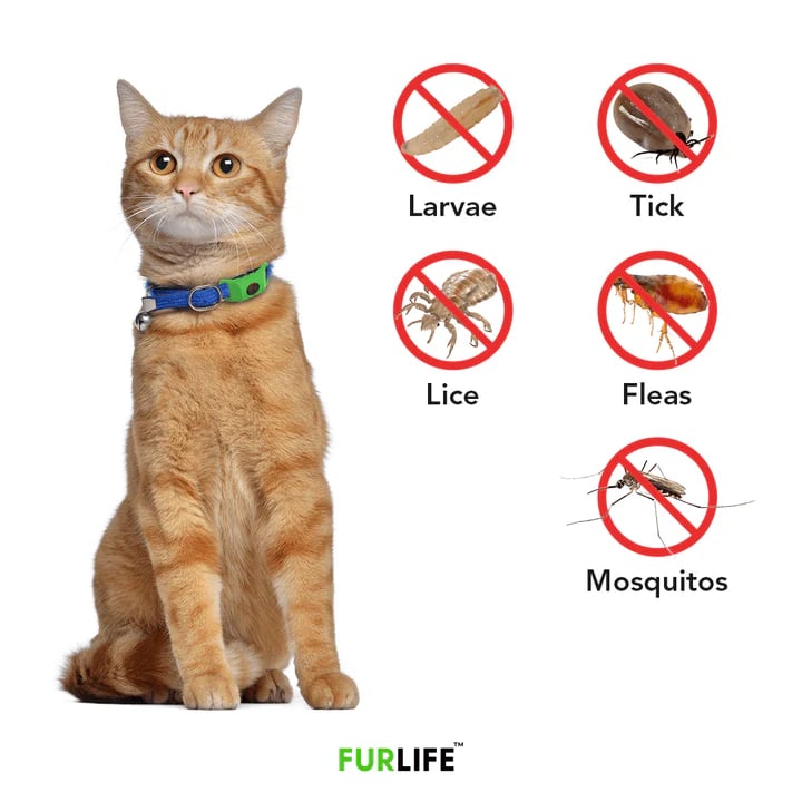 ⏰Last Day 60% OFF-🐕12 Months Flea and Tick Free