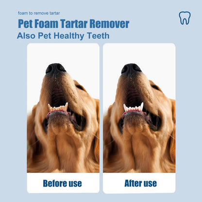 🐶Foam for removing tartar from pet teeth – Fresh breath & healthy teeth, no brushing required!🦷