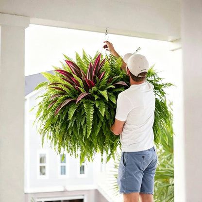 💥Summer Special🔥 UV-Resistant Artificial Fern & Red Dracaena Decorative Plants – Full, Lush & Fade-Resistant!