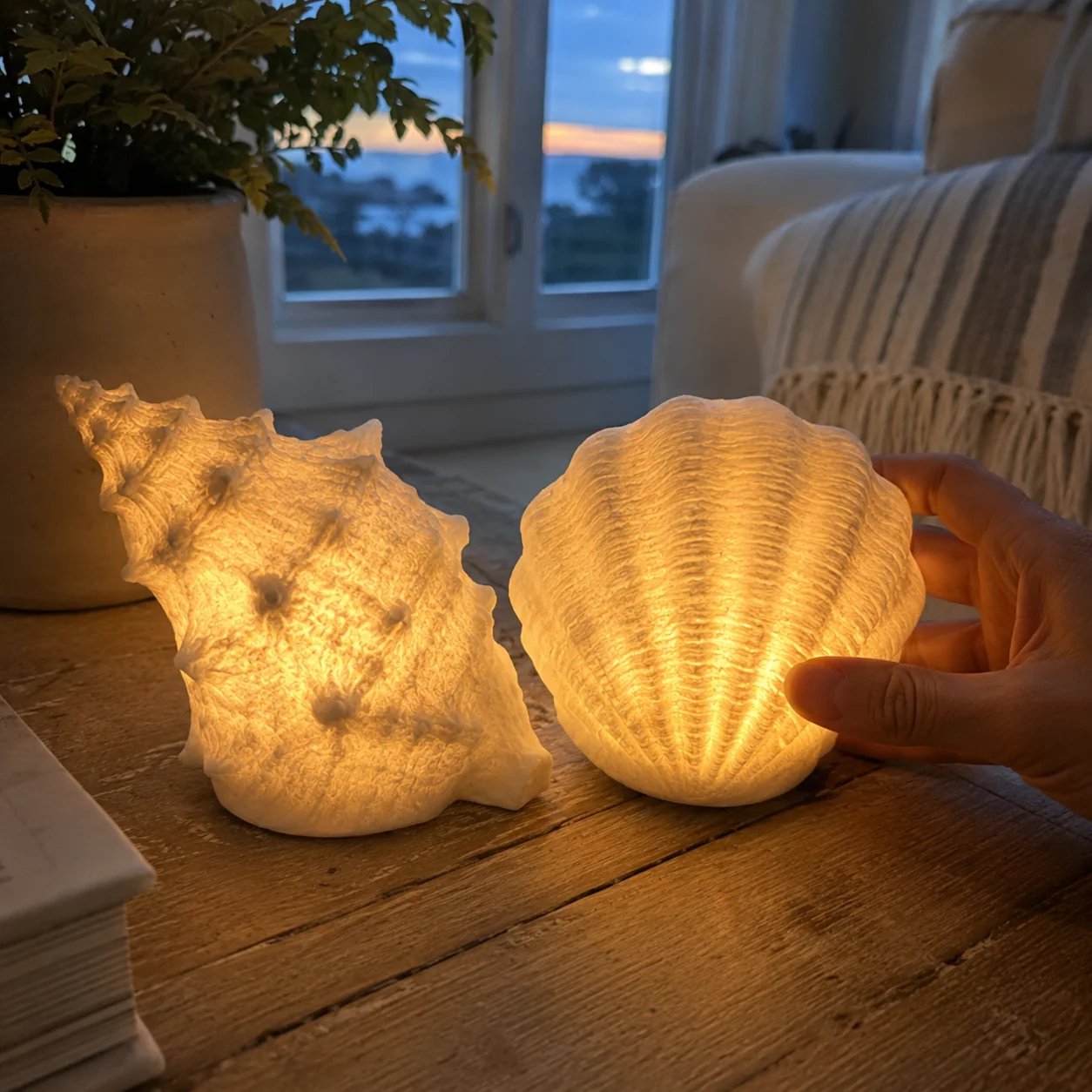 Coastal Afterglow Shell & Conch Light Set