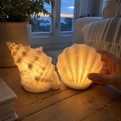 Coastal Afterglow Shell & Conch Light Set