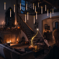 🪄 10 Candles + 1 Magic Wand