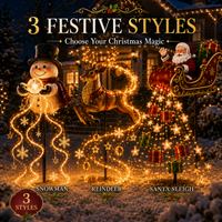 🎁 Complete 3-Light Set