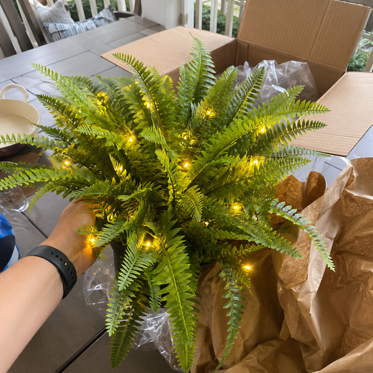 🌿Glowing Boston Ferns with Lights 💛 Zero Watering, Zero Maintenance