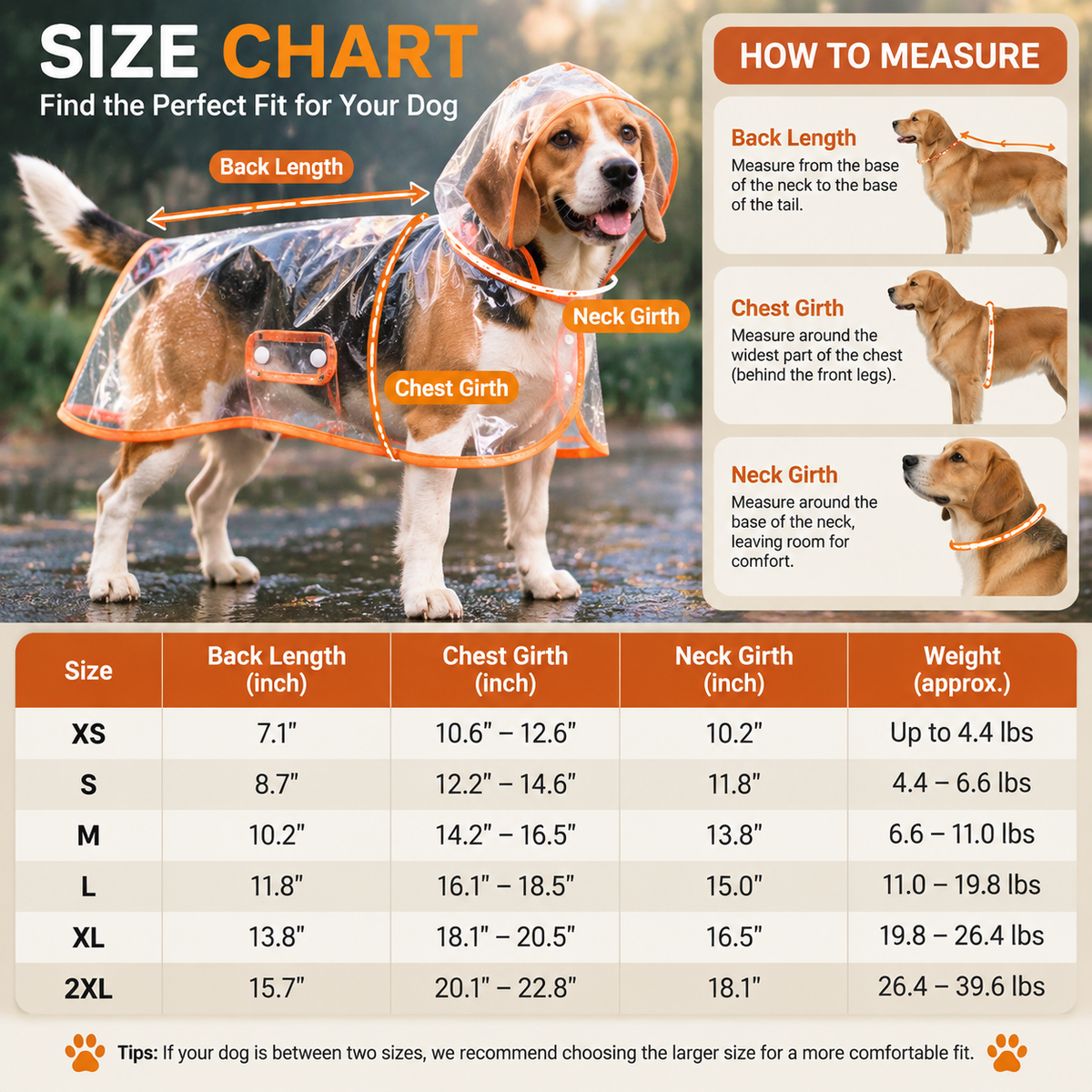 🐶 Pet Raincoat – Transparent Waterproof Dog Cape, Lightweight Protection for Small & Medium Dogs