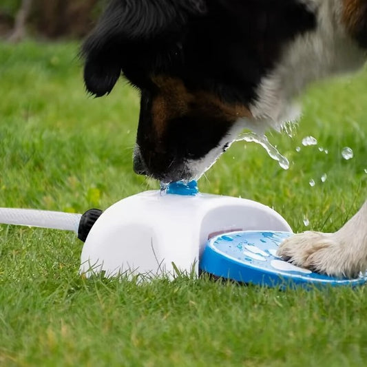 Outdoor Dog Water Fountain, Step On Foot Activated Dog Water Dispenser