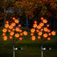 Maple leaf