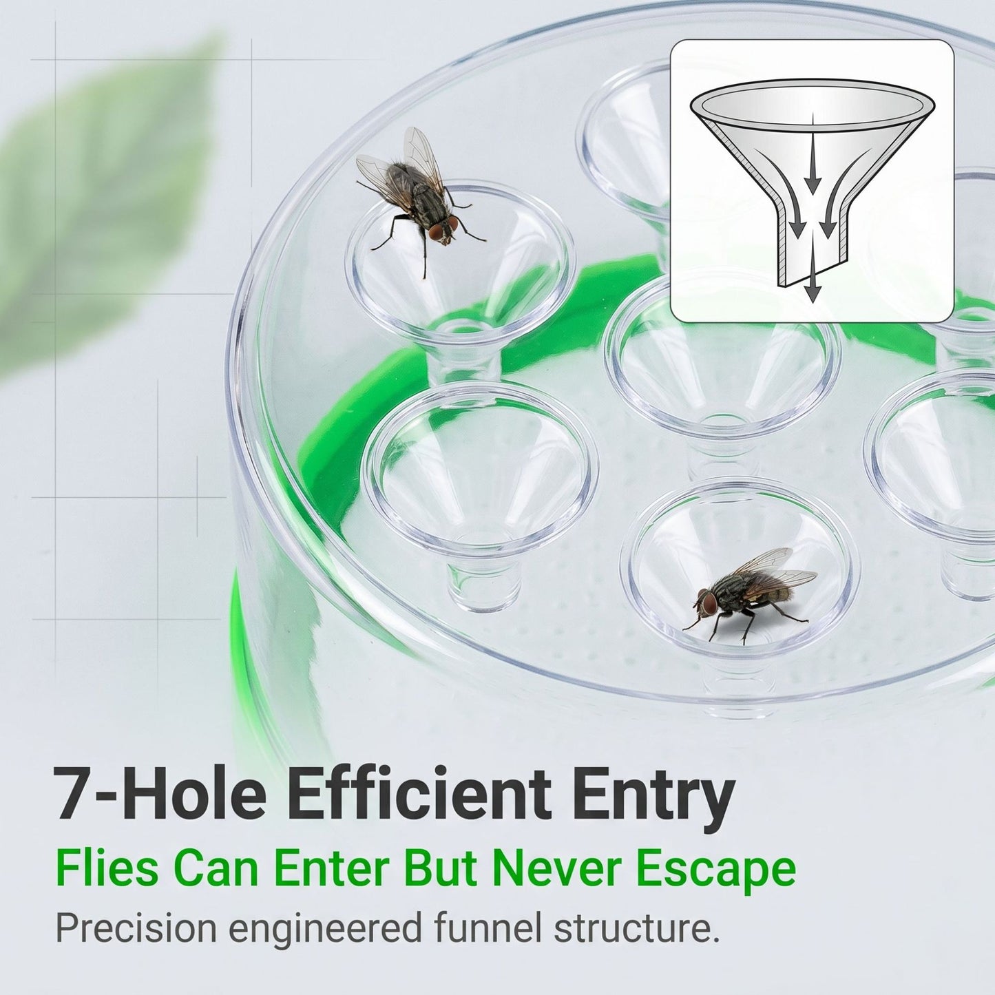 Reusable Non-Electric Fly Trap