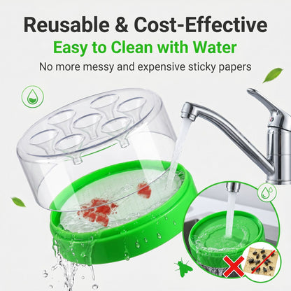 Reusable Non-Electric Fly Trap