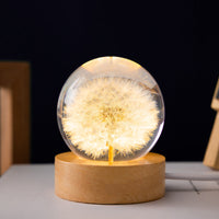 Dandelion（Soft Glow Edition）