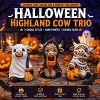 🎁Set of 3 (3 PCS) - 10% & FREE SHIPPING
