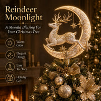 Reindeer
