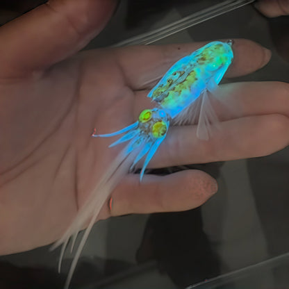 🎣🦑 Luminous Squid Feather Fishing Lure – Glow-in-the-Dark Soft Bait for Night Fishing & Saltwater Angling