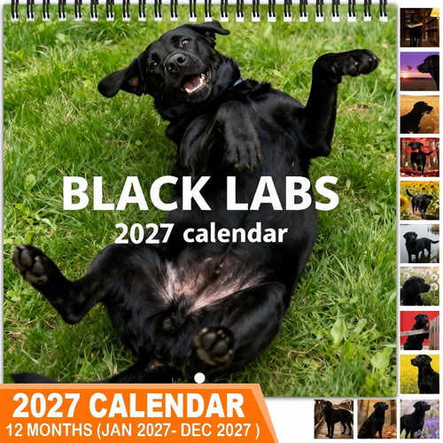 🐕‍🦺2027 Cute Black Labs Calendar