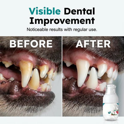 🐾No-Brush Pet Dental Care Liquid– Pet Dental Care Made Easy🦷