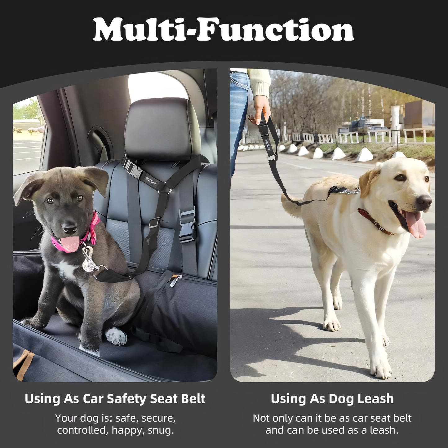 Dog Travel Safety Belts