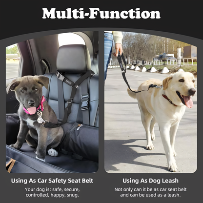 Dog Travel Safety Belts