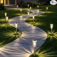 Set of 12